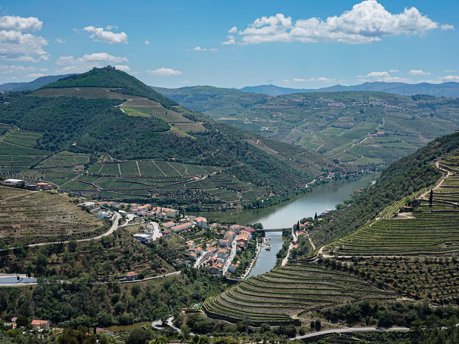 Terraced vineyards above the river in the Douro Valley