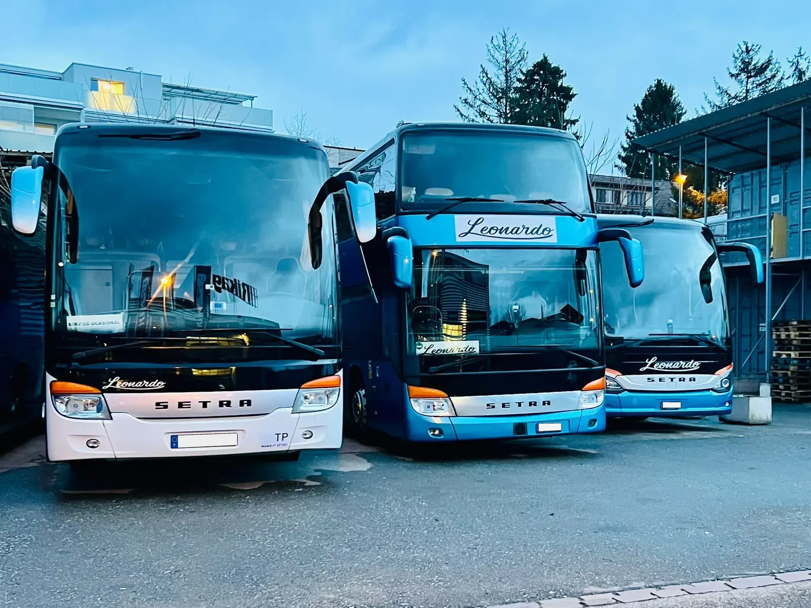 Três autocarros Setra da Leonardo Travel estacionados lado a lado